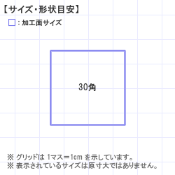 ϥ : Xstamper ó30Ĺ 30.0 x 30.0